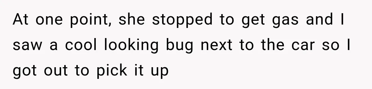 At one point, she stopped to get gas and I saw a cool looking bug next to the car so I got out to pick it up