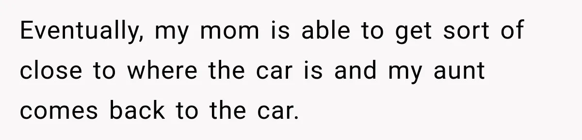 Eventually, my mom is able to get sort of close to where the car is and my aunt comes back to the car.