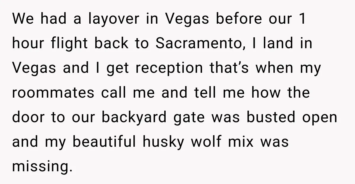 We had a layover in Vegas before our 1 hour flight back to Sacramento, I land in Vegas and I get reception that’s when my roommates call me and tell...