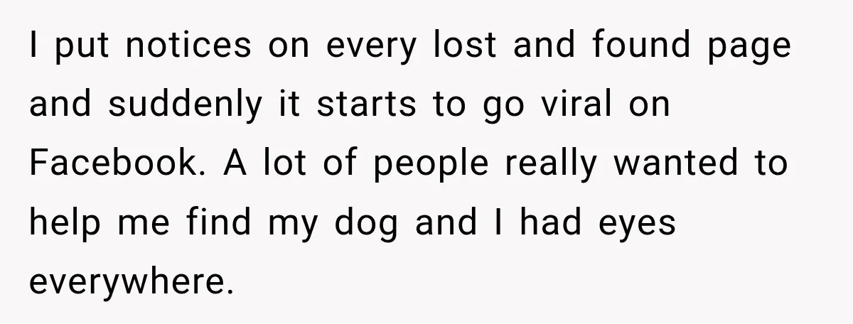 I put notices on every lost and found page and suddenly it starts to go viral on Facebook. A lot of people really wanted to help me find my dog...