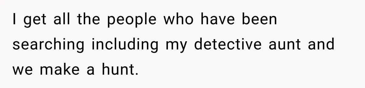 I get all the people who have been searching including my detective aunt and we make a hunt.