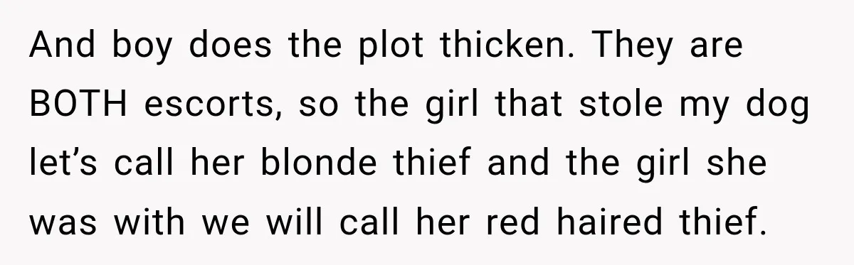 And boy does the plot thicken. They are BOTH escorts, so the girl that stole my dog let’s call her blonde thief and the girl she was with we will...
