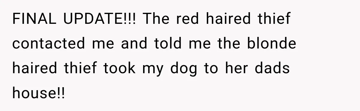 FINAL UPDATE!!! The red haired thief contacted me and told me the blonde haired thief took my dog to her dads house!!
