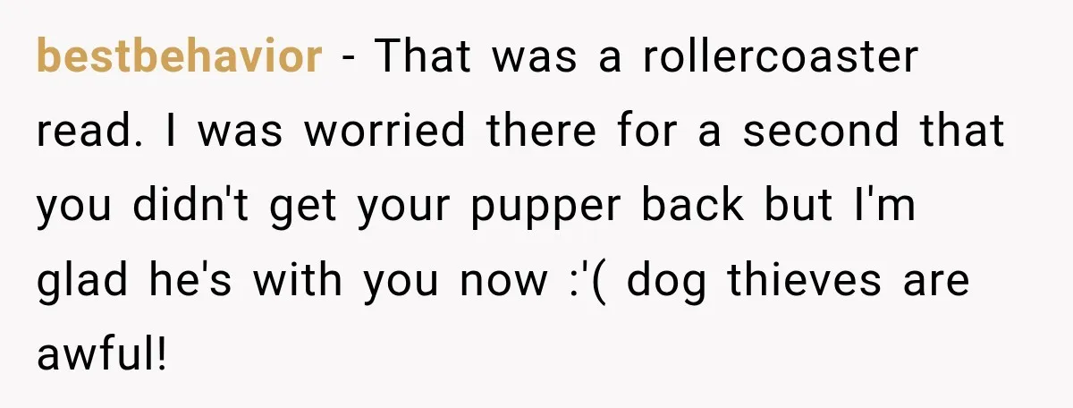 bestbehavior − That was a rollercoaster read. I was worried there for a second that you didn't get your pupper back but I'm glad he's with you now :'( dog...