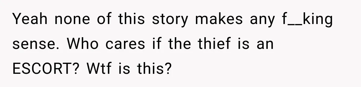 Yeah none of this story makes any f__king sense. Who cares if the thief is an ESCORT? Wtf is this?