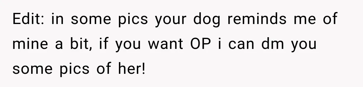 Edit: in some pics your dog reminds me of mine a bit, if you want OP i can dm you some pics of her!