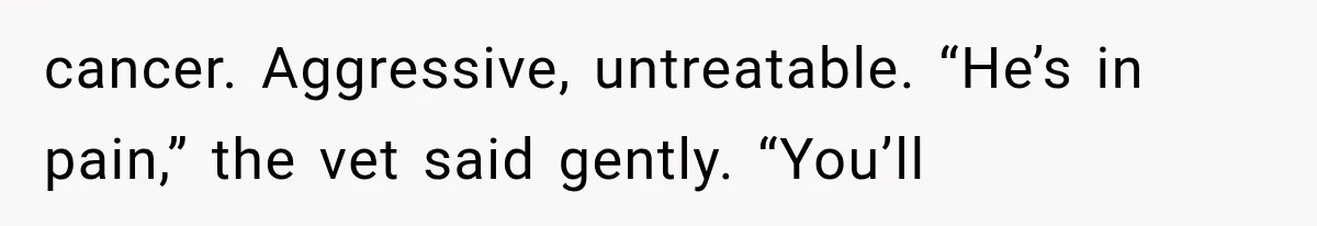 cancer. Aggressive, untreatable. “He’s in pain,” the vet said gently. “You’ll