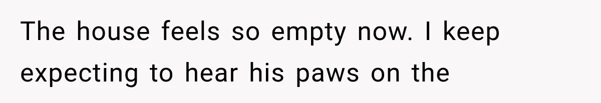 The house feels so empty now. I keep expecting to hear his paws on the