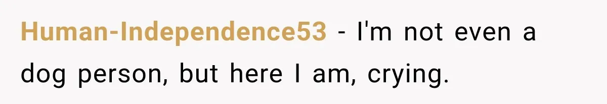 Human-Independence53 − I'm not even a dog person, but here I am, crying.