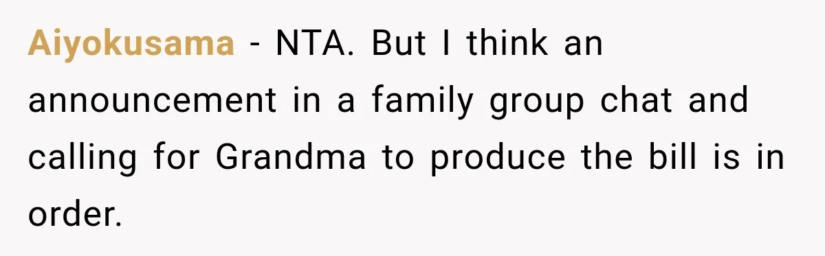 Woman Discovers Her Family Believed a 25-Year-Old Lie About Her, So She Finally Speaks Up Aiyokusama − NTA. But I think an announcement in a family group chat and calling for Grandma to produce the bill is in order.