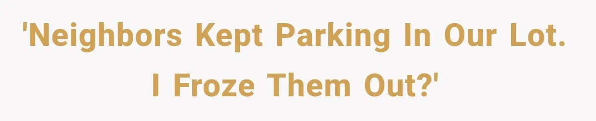 'Neighbors kept parking in our lot. I froze them out?'