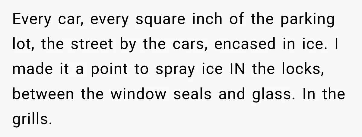 Every car, every square inch of the parking lot, the street by the cars, encased in ice. I made it a point to spray ice IN the locks, between the...