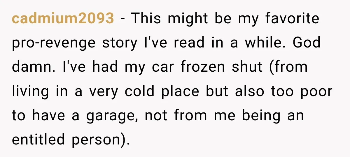 cadmium2093 − This might be my favorite pro-revenge story I've read in a while. God damn. I've had my car frozen shut (from living in a very cold place but...