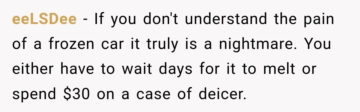 eeLSDee − If you don't understand the pain of a frozen car it truly is a nightmare. You either have to wait days for it to melt or spend $30...