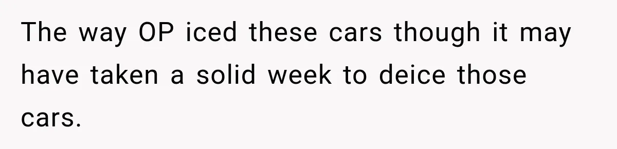 The way OP iced these cars though it may have taken a solid week to deice those cars.