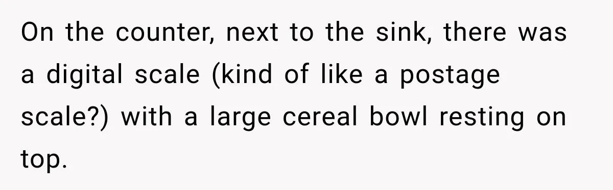 On the counter, next to the sink, there was a digital scale (kind of like a postage scale?) with a large cereal bowl resting on top.