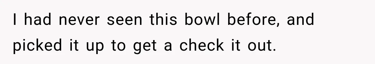 I had never seen this bowl before, and picked it up to get a check it out.