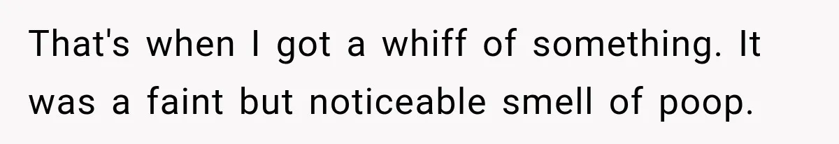 That's when I got a whiff of something. It was a faint but noticeable smell of poop.