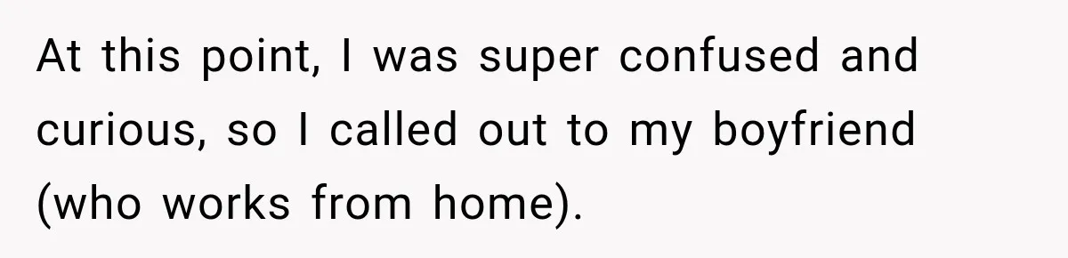 At this point, I was super confused and curious, so I called out to my boyfriend (who works from home).