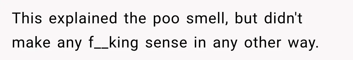 This explained the poo smell, but didn't make any f__king sense in any other way.