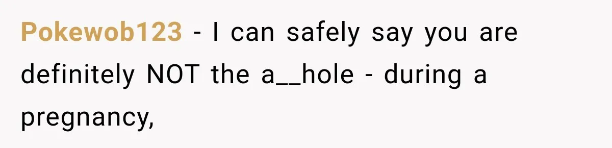 Pokewob123 − I can safely say you are definitely NOT the a__hole - during a pregnancy,