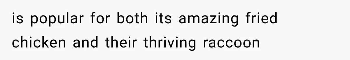 is popular for both its amazing fried chicken and their thriving raccoon