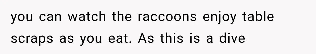 you can watch the raccoons enjoy table scraps as you eat. As this is a dive