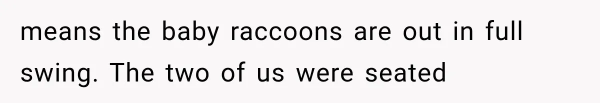means the baby raccoons are out in full swing. The two of us were seated