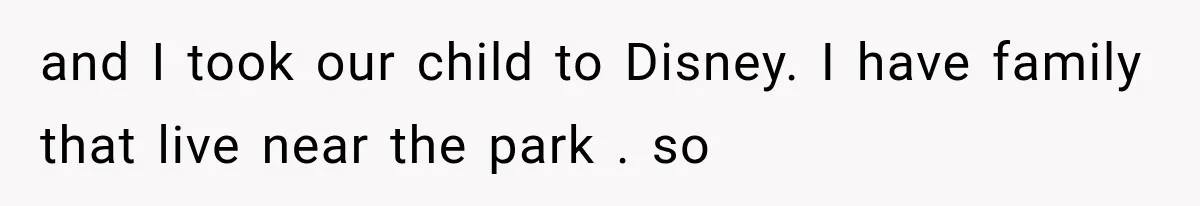 Couple Forces Their Fancy Wedding Ideas on Others, but Their Own Trip Becomes a Disaster and I took our child to Disney. I have family that live near the park . so