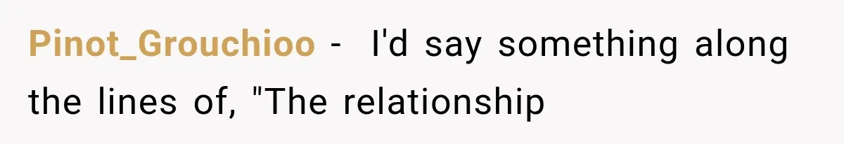 Pinot_Grouchioo − ​ I'd say something along the lines of, "The relationship