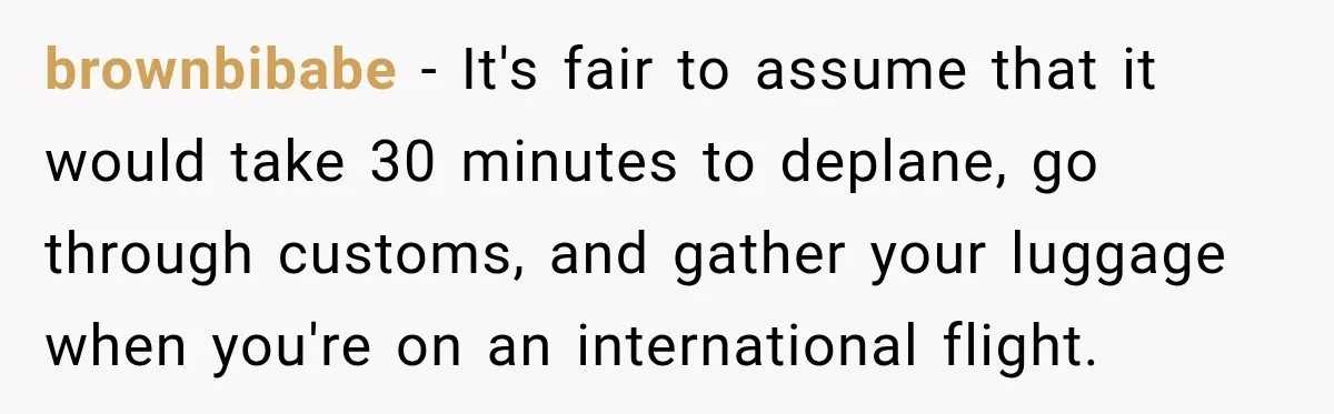 brownbibabe − It's fair to assume that it would take 30 minutes to deplane, go through customs, and gather your luggage when you're on an international flight.