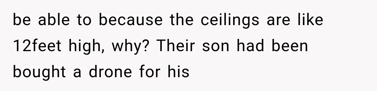 Her Neighbors Claimed They Needed to Find a Lost Drone. She Refused to Let Them Into Her Apartment, and Things Got Strange Fast. be able to because the ceilings are like 12feet high, why? Their son had been bought a drone for his