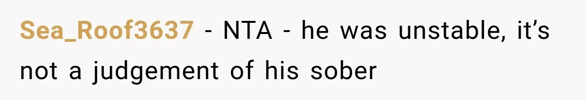Sea_Roof3637 − NTA - he was unstable, it’s not a judgement of his sober