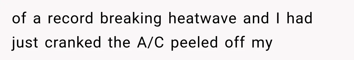 of a record breaking heatwave and I had just cranked the A/C peeled off my