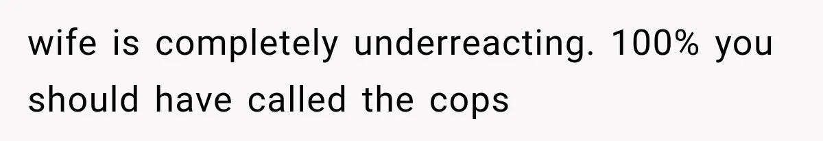 wife is completely underreacting. 100% you should have called the cops