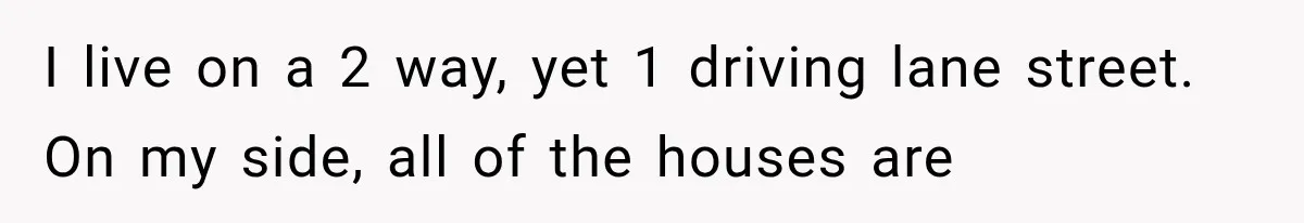 I live on a 2 way, yet 1 driving lane street. On my side, all of the houses are