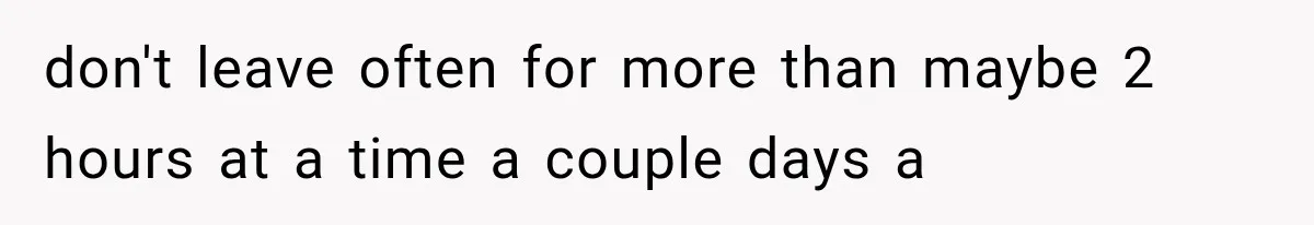 don't leave often for more than maybe 2 hours at a time a couple days a