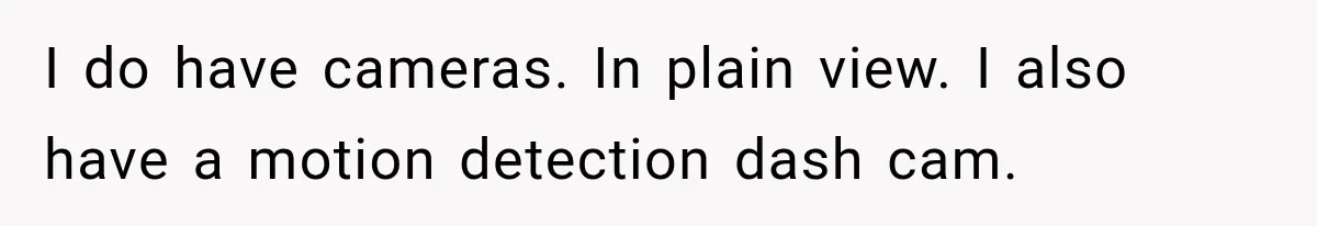 I do have cameras. In plain view. I also have a motion detection dash cam.