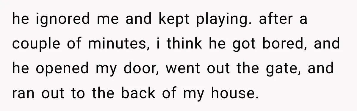 he ignored me and kept playing. after a couple of minutes, i think he got bored, and he opened my door, went out the gate, and ran out to the...