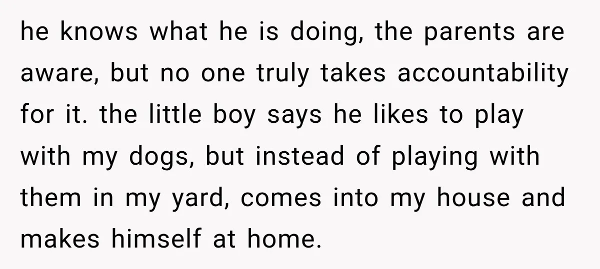 he knows what he is doing, the parents are aware, but no one truly takes accountability for it. the little boy says he likes to play with my dogs, but...