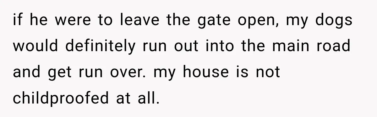 if he were to leave the gate open, my dogs would definitely run out into the main road and get run over. my house is not childproofed at all.