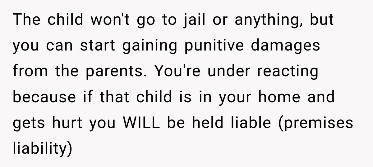 The child won't go to jail or anything, but you can start gaining punitive damages from the parents. You're under reacting because if that child is in your home and...