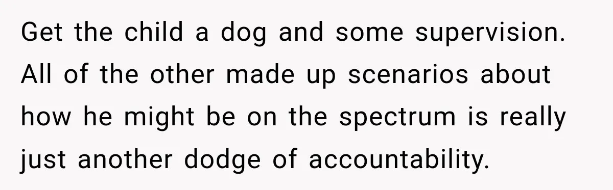 Get the child a dog and some supervision. All of the other made up scenarios about how he might be on the spectrum is really just another dodge of accountability.