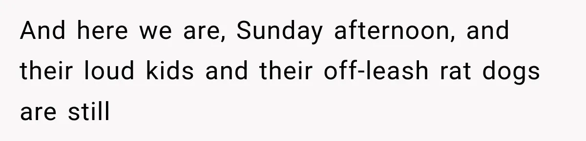 And here we are, Sunday afternoon, and their loud kids and their off-leash rat dogs are still