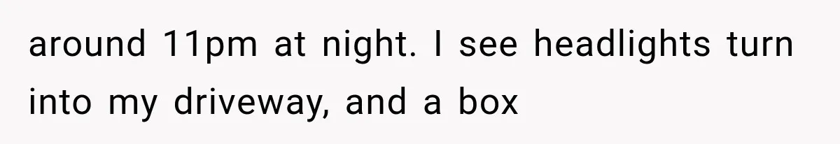 around 11pm at night. I see headlights turn into my driveway, and a box