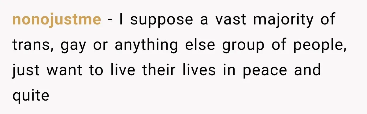 nonojustme − I suppose a vast majority of trans, gay or anything else group of people, just want to live their lives in peace and quite