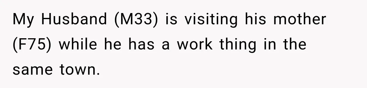 My Husband (M33) is visiting his mother (F75) while he has a work thing in the same town.