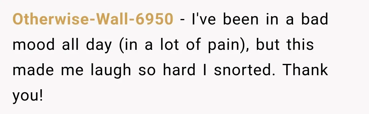 Otherwise-Wall-6950 − I've been in a bad mood all day (in a lot of pain), but this made me laugh so hard I snorted. Thank you!