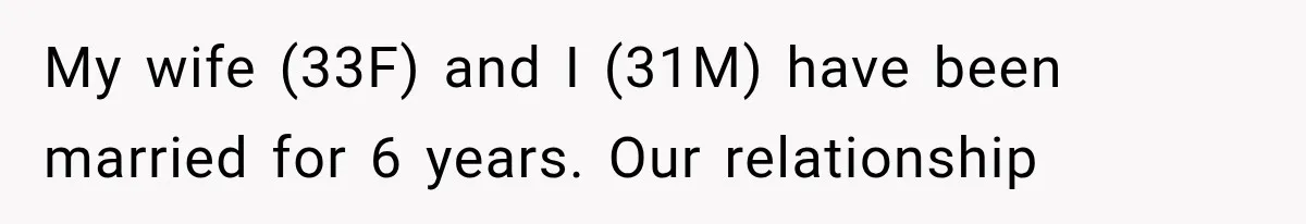 My wife (33F) and I (31M) have been married for 6 years. Our relationship