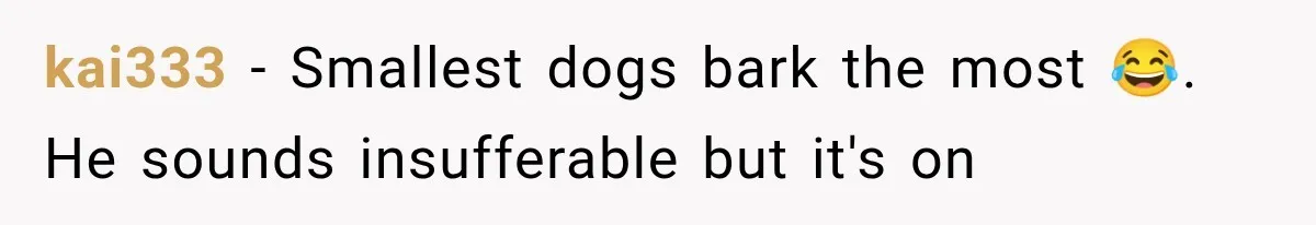 kai333 − Smallest dogs bark the most 😂. He sounds insufferable but it's on